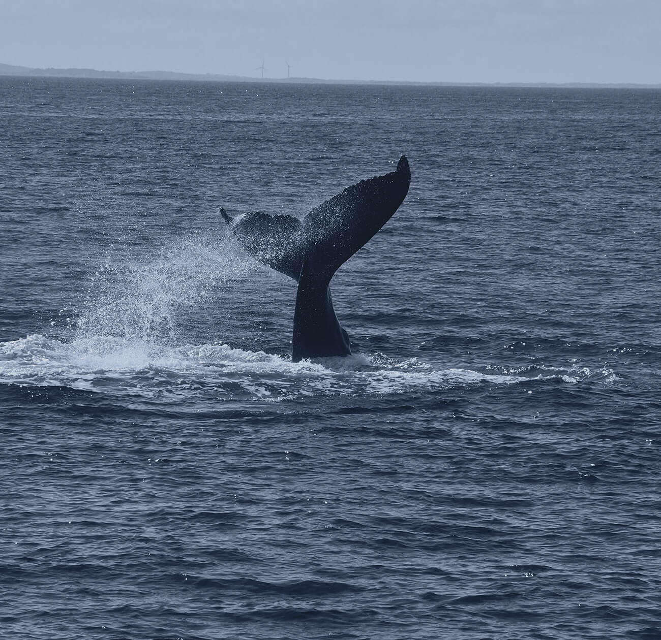 Puerto Madryn