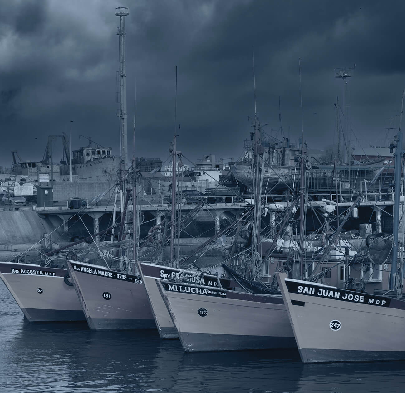 Mar del Plata